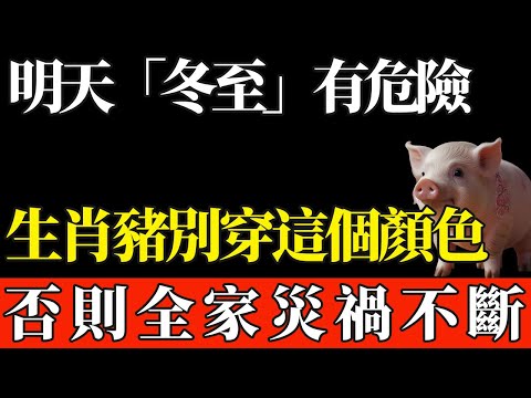 明天「冬至」有危險，生肖豬最好別穿這個顏色，否則全家災禍不斷！【般若之音】#生肖 #運勢 #風水 #財運#命理