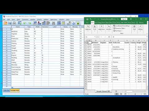 SPSS Basics / How to import excel data