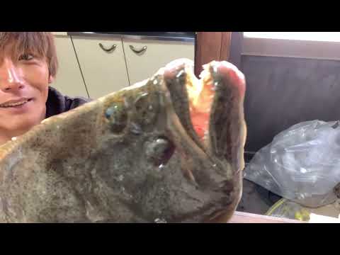 夕食ライブ 2026.2.8 ヒラメ