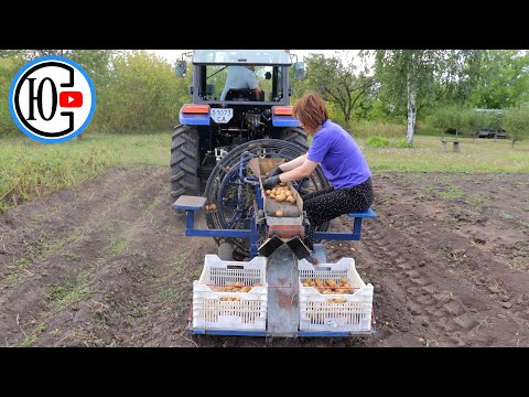 We dig potatoes with a homemade combine harvester attached to a tractor...!!!