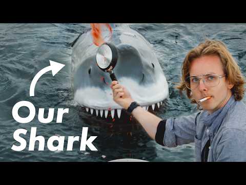 Can We Recreate Jaws?