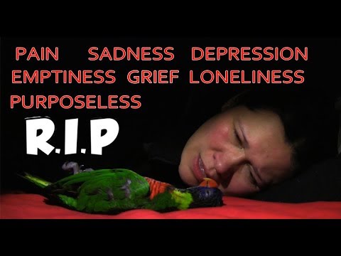 WHAT TO DO IF YOUR SOULMATE PET DIED! *extremely emotional*