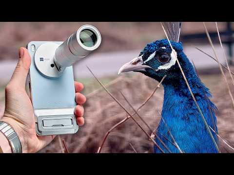 Vivo X300 Zeiss Teleconverter Real-World Test: Can it compete with the Pro & Ultra?