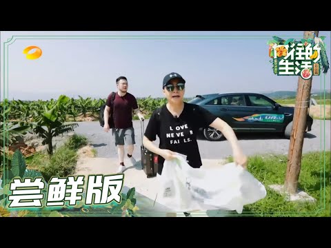 【尝鲜版】宋丹丹携巴图来参加《向往·变形记》？宋丹丹式吃菠萝太搞笑了！《向往的生活4》 第12期 Back to field S4 EP12【芒果TV生活风尚频道】