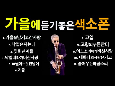 가을에듣기좋은색소폰연주~미국자연인Saxophone
