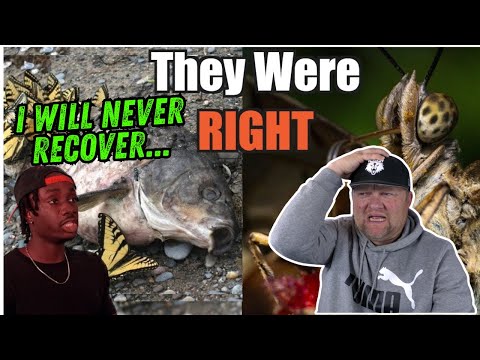 Why You Owe People Afraid of Butterflies an Apology | Casual Geographic | History Teacher Reacts