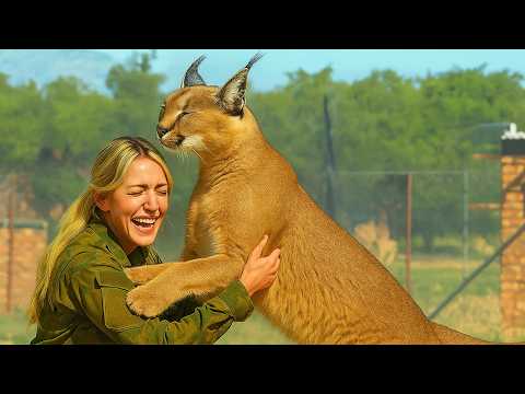 20 Times When Animals Reunited With Owners After Years Make You Cry in a Special Way 2025 #6