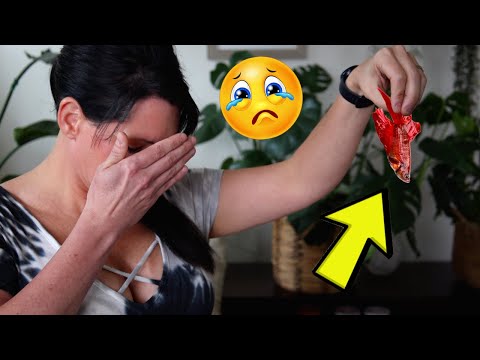 These Will KILL Your Betta Fish!! Top 5 Reasons Bettas Die!