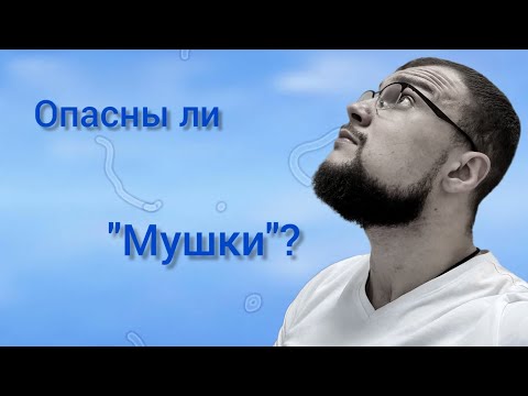 Мушки в глазах - опасны?