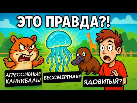 33 Факта О Животных, Которые Разрушают Наши Представления