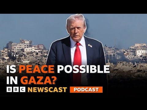 Will Trump's peace plan work? | BBC Newscast