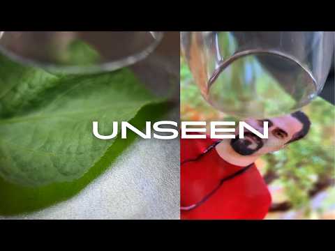 Macro to 1200X — Unseen View of 14 Everyday Objects