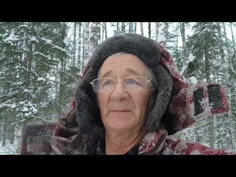 Охота на лося была успешной. Видио было опубликовано в ДЗЕНЕ и заблокировано.