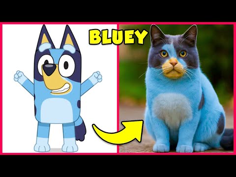 Wie Bluey-Charaktere als KATZEN 💙😾 + Errate die Stimme! 🔊 Bluey, Bingo, Socks, Chilli, Bandit