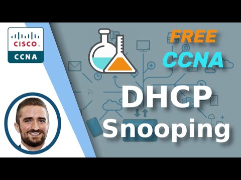 Free CCNA | DHCP Snooping | Day 50 Lab | CCNA 200-301 Complete Course