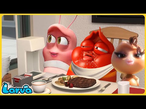 Larva Tuba - GIA ĐÌNH HẠNH PHÚC - ẤU TRÙNG TINH NGHỊCH - PHIM HOẠT HÌNH HÀN QUỐC HAY NHẤT 2021