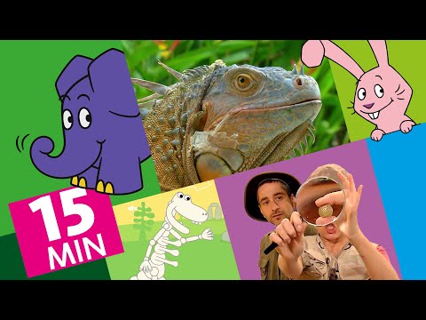 Hallo Elefant - Triceratops & Tyrannosaurus Rex - Wo findet man Dinosaurier? | Der Elefant | WDR