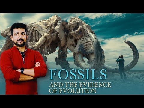 Fossils and Radiometric dating are proof of evolution | Faisal Warraich