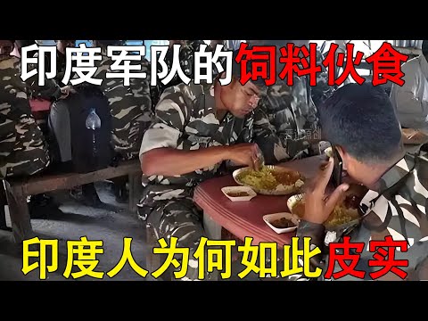 印度军队的饲料伙食，印度人为什么如此皮实 #印度 #印度军队 #中印对峙 #硬核深度计划 #理性看世界