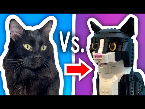 CATS Vs. LEGO Challenge!