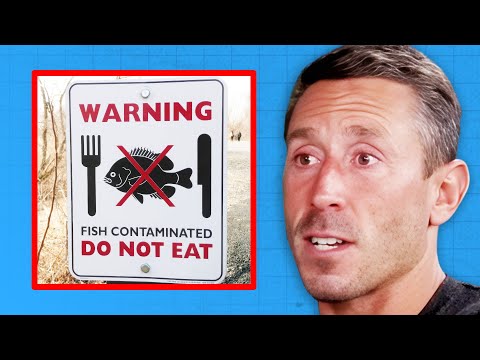 You Might NEVER EAT Fish Again After WATCHING THIS! | Dr. Paul Saladino