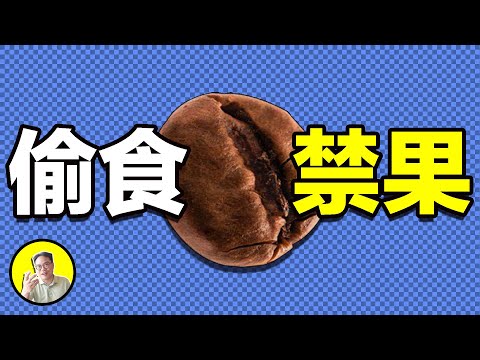 咖啡的秘密：戰士的勇猛秘方，囚犯的保命神器？魔鬼的傑作伴隨著偷盜與美色征服世界......｜總裁聊聊