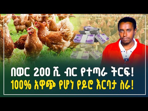 በወር 200 ሺ ብር የተጣራ ትርፍ! 100% አዋጭ የሆነ የዶሮ እርባታ ስራ! | Chicken farming business | Gebeya Review 