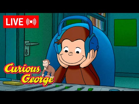 🔴 LIVE! Curious George Full Episodes 🐵 George Is LIVE On The Air + MORE!
