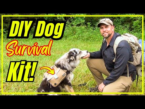 DIY Dog Hiking Kit: Build the Ultimate K9 hiking Bag & Harness!