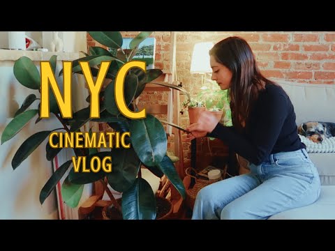 A Winter in NYC | Cinematic Vlog | Solo Diaries