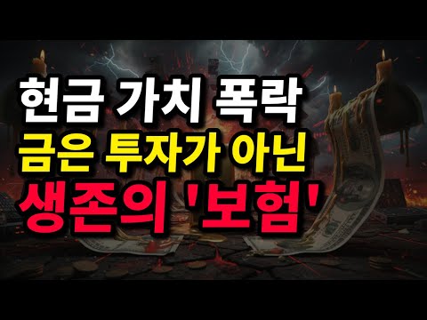현금 가치가 쓰레기가 되고 있습니다! 당신의 전 재산을 지킬 마지막 '생존 보험'의 정체는?