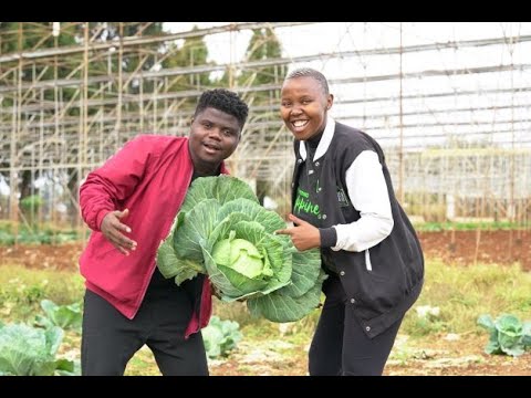 The Young Couple Behind The Most Lucrative Farm In Zimbabwe 🇿🇼