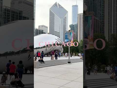 BLACKPINK WORLD TOUR [DEADLINE] IN CHICAGO ✨ #BLACKPINK #WORLDTOUR #DEADLINE #DEADLINE_IN_CHICAGO