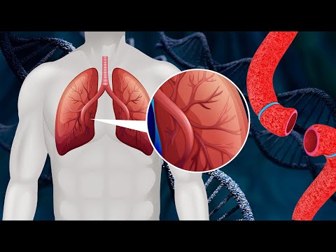 Eliminates Toxins In The Lung 💫 Increase Body Flexibility, Melatonin Releases (Super Efficiency) #1