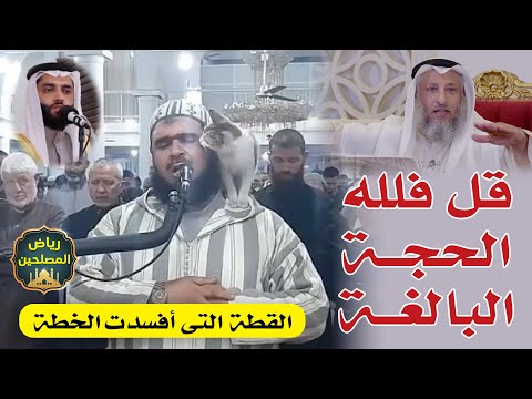 القطة والإمام وليد مهساس صلاة التراويح