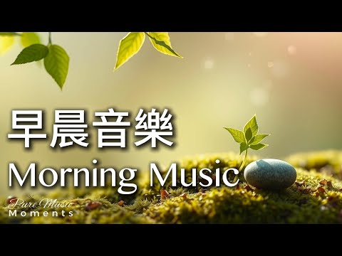 🌤️我在早晨的陽光裡迎接每一個美好的今天 | 柔和鋼琴音樂 水晶音樂 | 中間無廣告 | 早晨音樂1小時Gentle Morning Piano Music #morningmusic