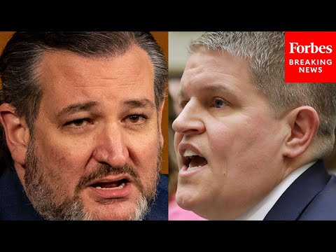Ted Cruz Clashes With Biden ATF Nominee Over Proposed AR-15 Ban