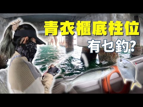 青衣櫃底柱位有乜釣? 上集+下集 (高清HD1080)