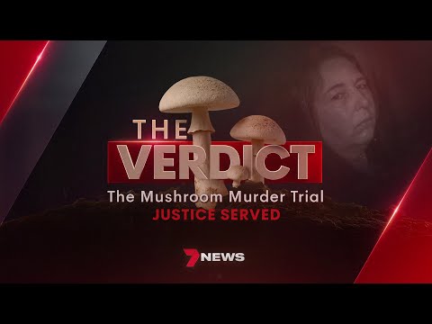 The nine-second toilet stop and other bizarre evidence that brought down Erin Patterson | 7NEWS