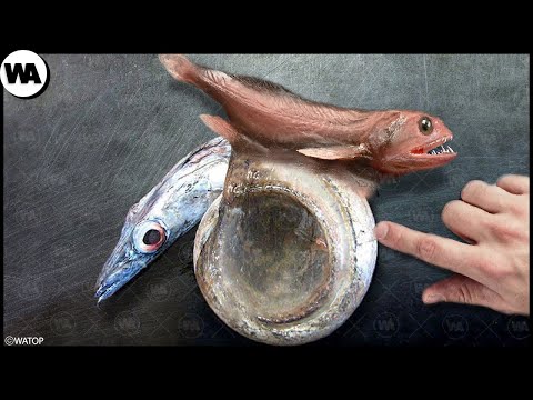 Эта Рыба Ест Только Тех, Кто Больше Ее