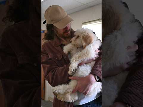 Thanks #pawsitiveimpact for introducing us to your beautiful rescued animals. Visit them in NC 🖤