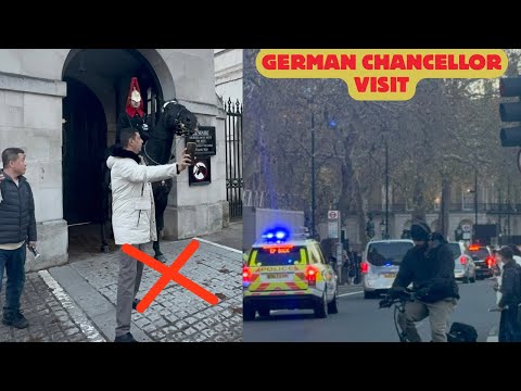 This idiot walked inside the box for a better photo… the guard’s shout was instant! 🤣