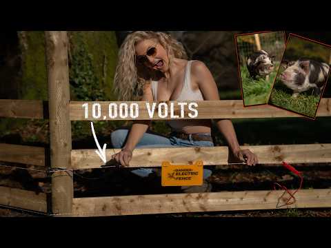 What Does a 10,000 Volt PIG FENCE Feel Like? Human test!