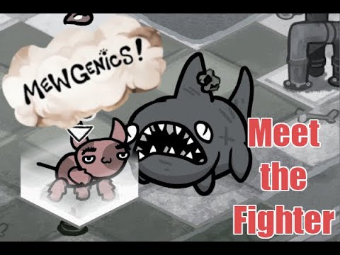 Meet The Fighter