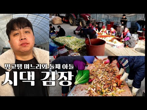 [김장Vlog] 시댁김장인데 암것도 안하는 망고땡 며느리, 이번해는 조금 줄여서 240포기🥬, 김치원정대와 함께하는 즐거운 김장