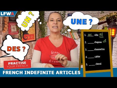 Practise your French indefinite articles Part 1