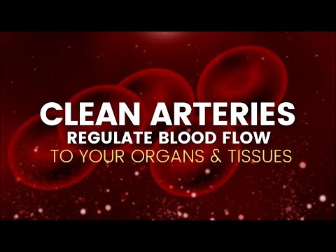 Clean Arteries | Regulate Blood Flow to Your Organs and Tissues | Remove Plaque from Arteries-741Hz