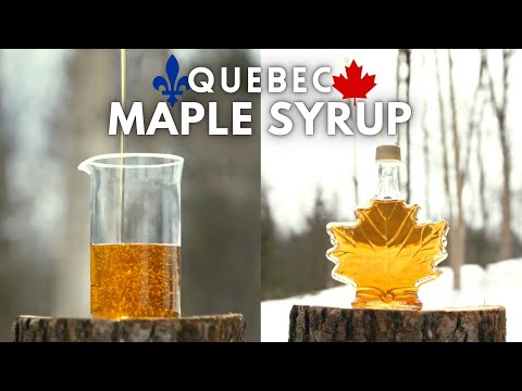 Quebec Produces 70% of the World's Maple Syrup