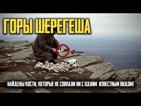 ГОРЫ ШЕРЕГЕША: Существо Ростом 2.5 Метра НАБЛЮДАЛО за Людьми!