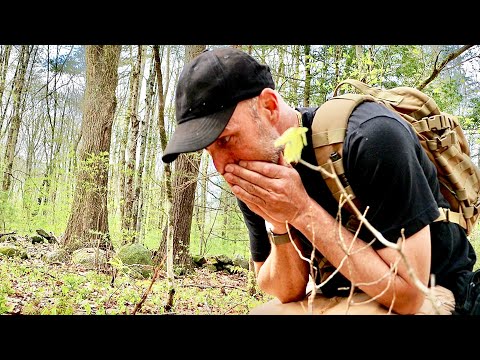 Somebody dumped a pocket full of silver coins here a long time ago and i just found them